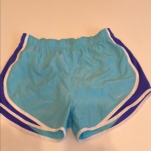 Nike Women's Blue and Purple Lined Shorts Small NWT